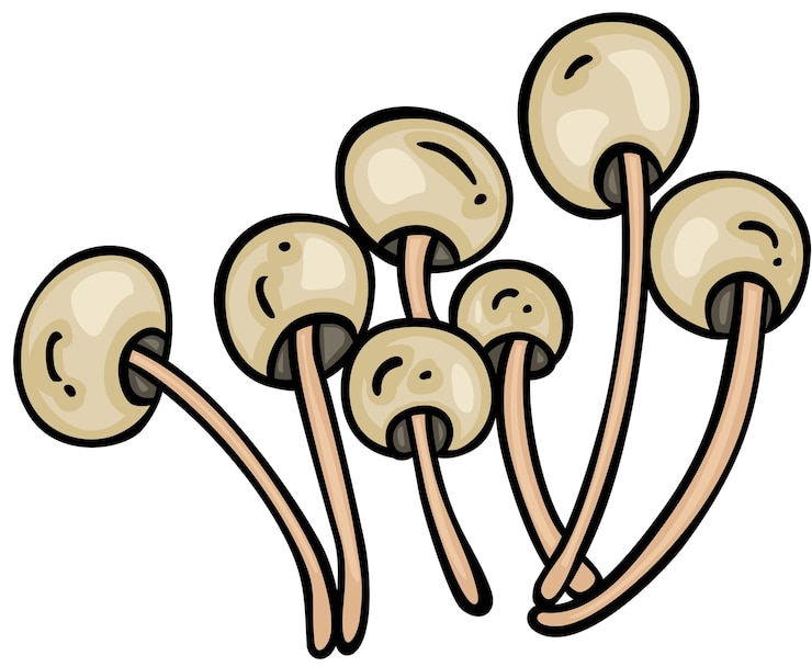 Vector hand drawn cartoon doodle of growing mushrooms