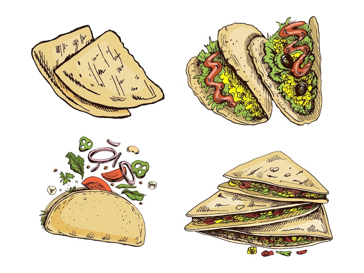 Vector hand drawn colored sketches of quesadilla vintage drawing of mexican dish