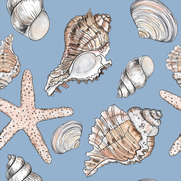 hand drawn illustrations seamless pattern of seashells marine background