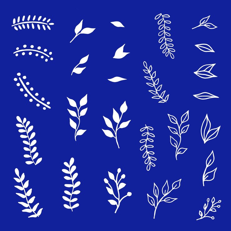 Vector hand drawn leaves and branches design collection