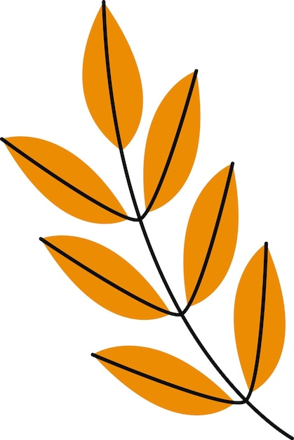 hand drawn leaves branch