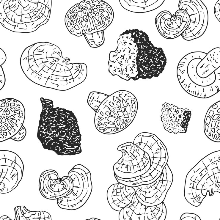 Vector hand drawn medicinal mushrooms seamless pattern black and white chaga shiitake and reishi fungus