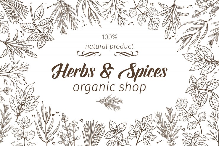 Vector hand drawn sketch herbs and spices