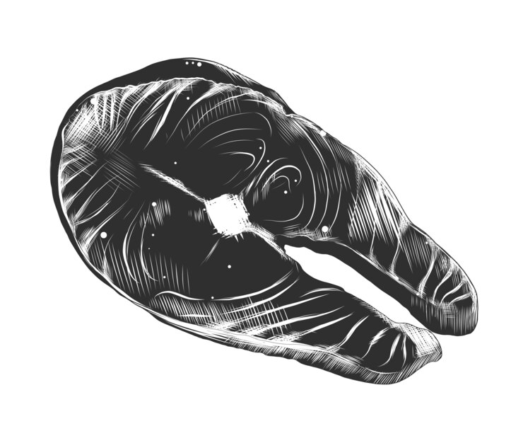 Vector hand drawn sketch of salmon steak in monochrome