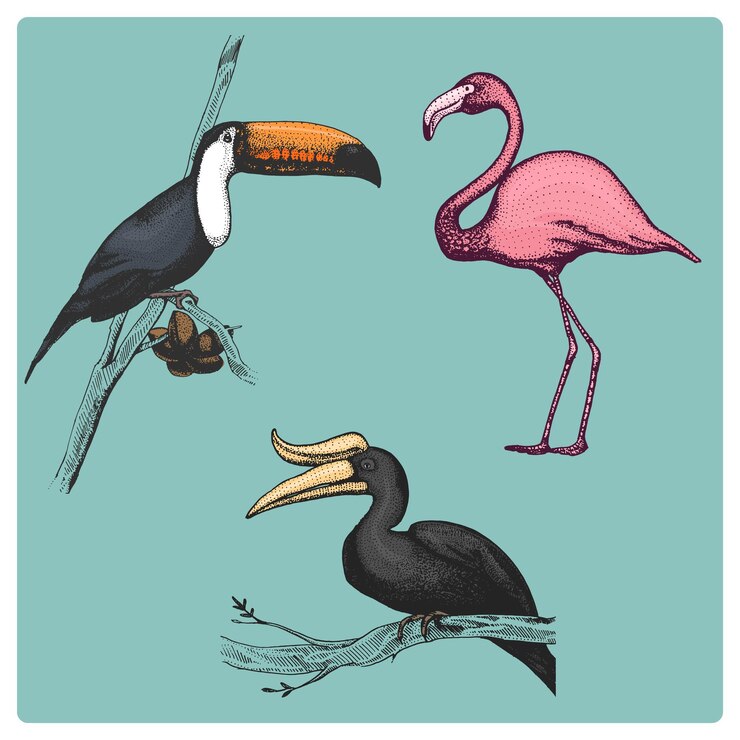 Vector hand drawn vector realistic bird sketch graphic style