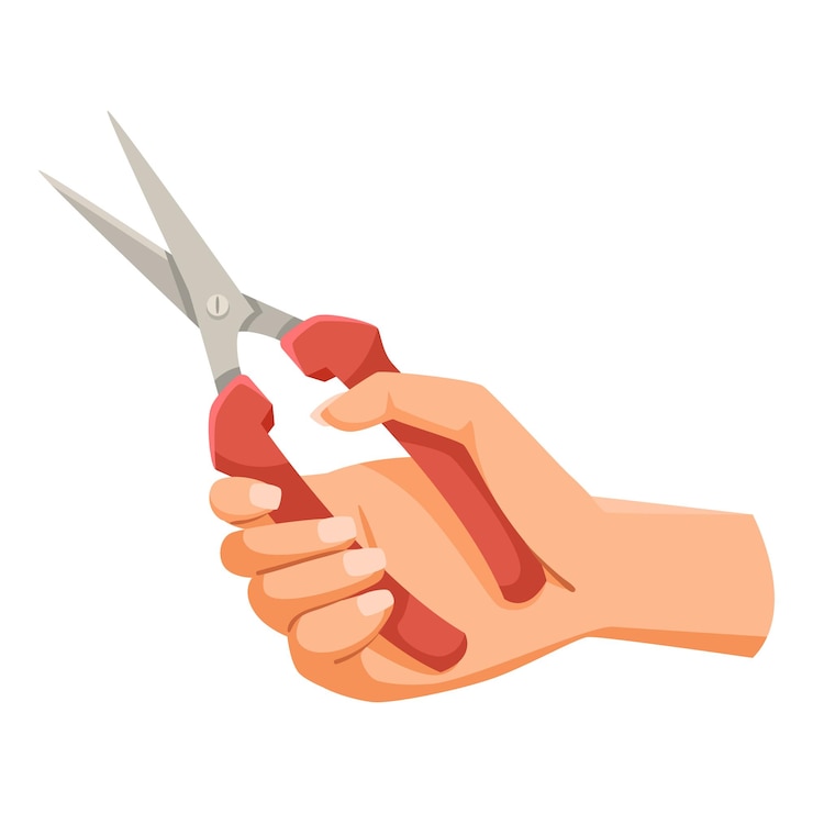 Vector hand holding redhandled scissors isolated on white vector illustration