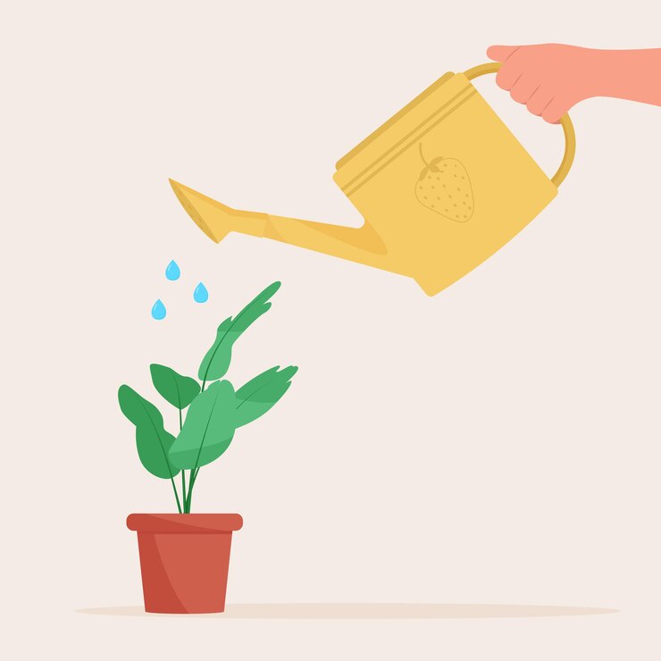 Hand holding watering can. Watering home plant in pot.