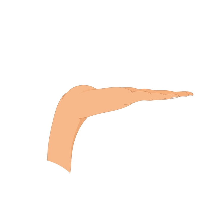 Vector hand in pose male or female hand in cartoon style