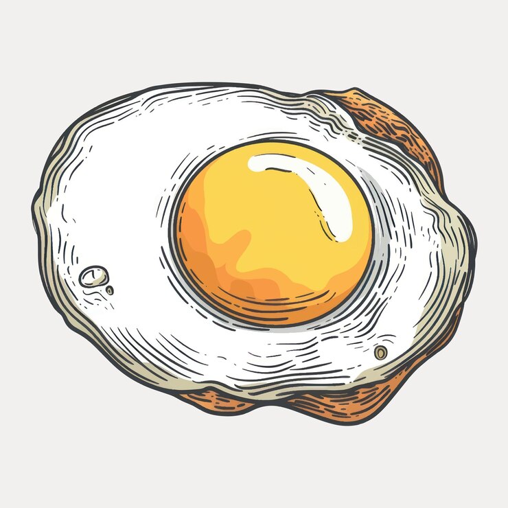 Vector handdrawn fried egg illustration