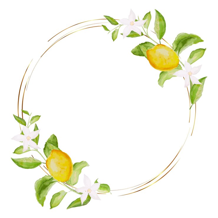 Handdrawn watercolor painting lemon frame on white background Vector illustration of green leaves flowers buds and branches