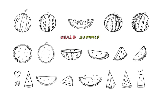 Handdrawn Watermelon Collection Summer Fruit Sketches