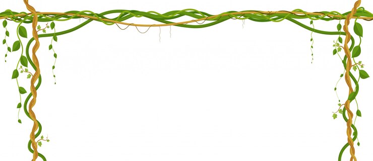 Vector hanging vine branches. tropical jungle and plants on white