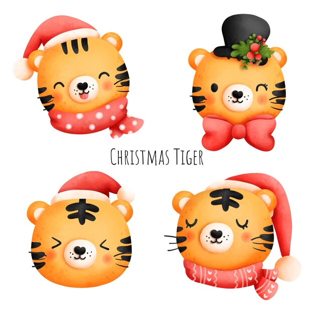 Harimau Natal, Tahun Harimau 2022