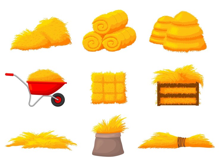 Vector haystacks harvest haystack straw natural hay autumn agriculture farm harvesting and wheat pile in wooden box isolated hayloft recent vector set