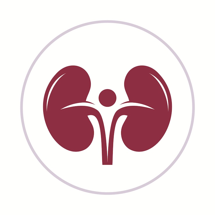 Vector health kidney vector design beautiful abstract art colorful trendy illustration background