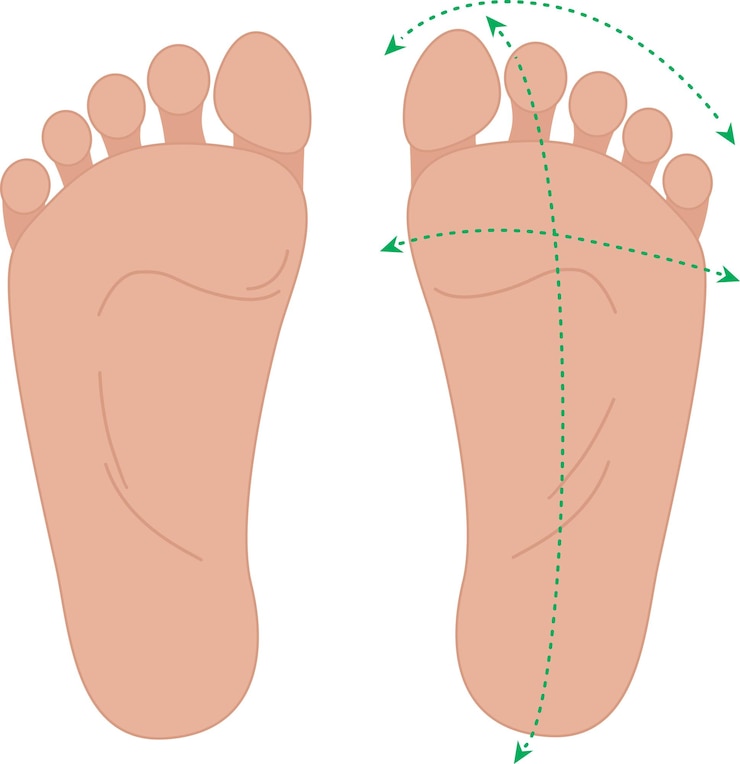 Vector healthy human feet normal foot sole bare pair of legs barefoot concept