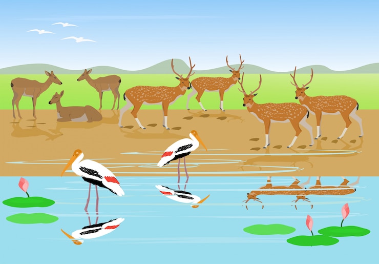 Vector herds of deer are resting along the stream, painted stork are walking in the water