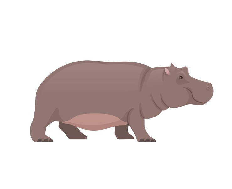 Vector hippo standing, side view. african animals. vector illustration isolated on white background