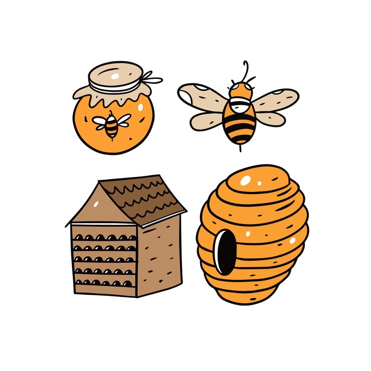 Vector honey and bee drawing set isolated on white