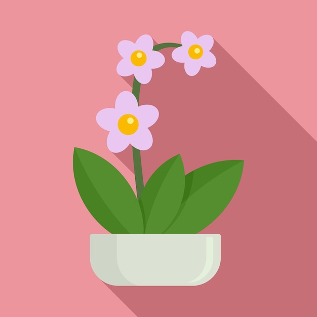 Houseplant orchid icon Flat illustration of houseplant orchid vector icon for web design