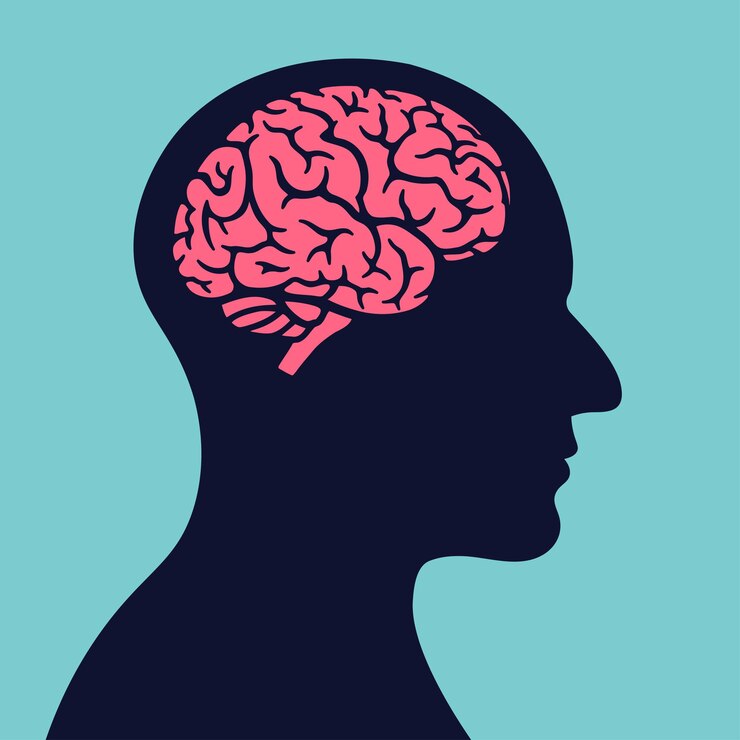Human Head with Brain Illustration Concept of Thinking Intelligence and Mental Health