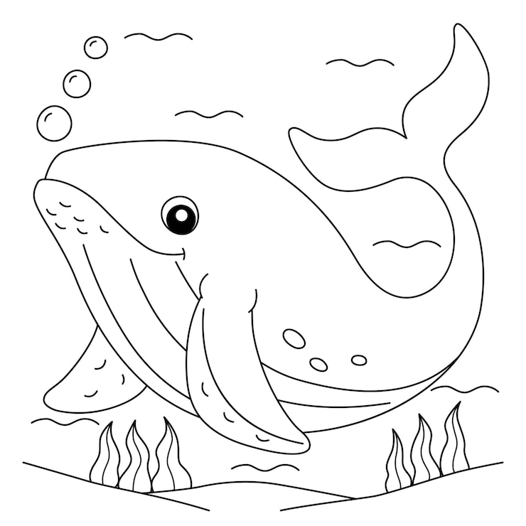 Vector humpback whale coloring page for kids