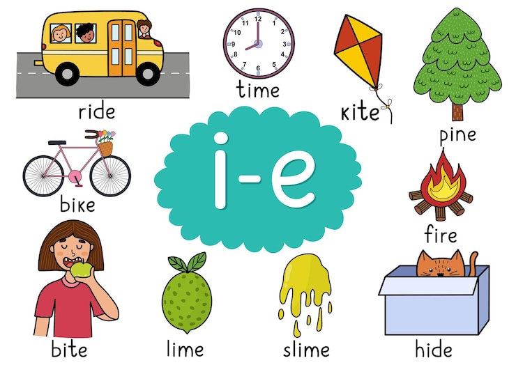 Vector ie digraph spelling rule educational poster for kids with words learning ie phonics for school