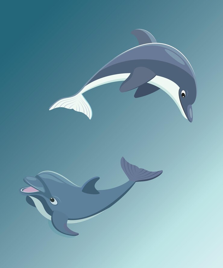 Illustration of a cute dolphin couple Vector illustration of cute dolphin jumping fun