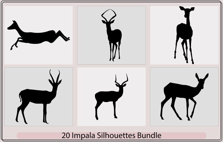 Vector illustration of african impala silhouettes in the wildblack and white vector silhouettes of impala