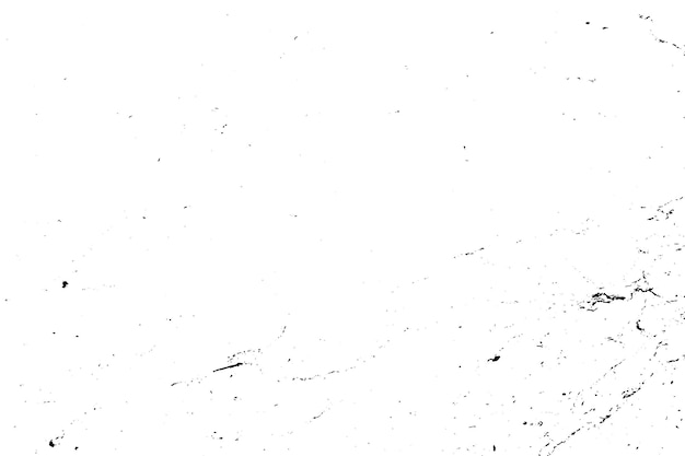 illustration of background black and white abstract texture vector with lines nets and dark spots