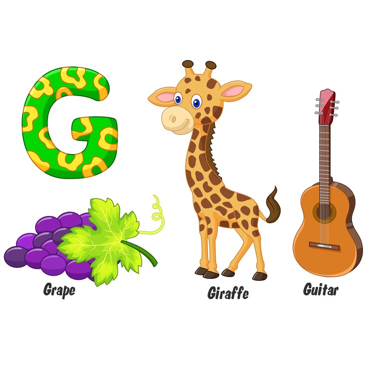 Vector illustration of g alphabet