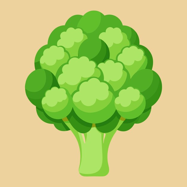 illustration of Green fresh romanesco broccoli vegetable