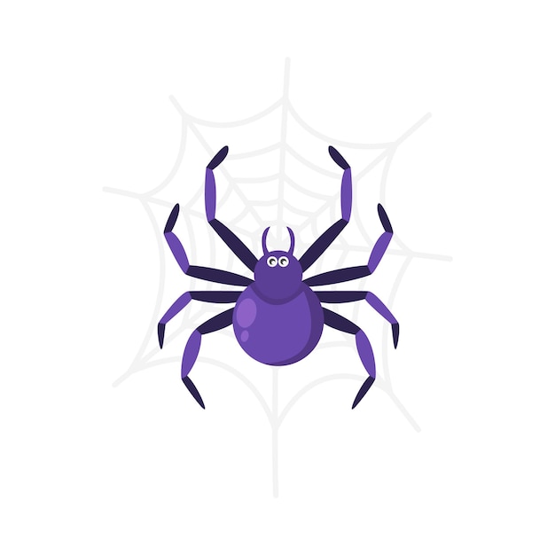 Illustration of spider