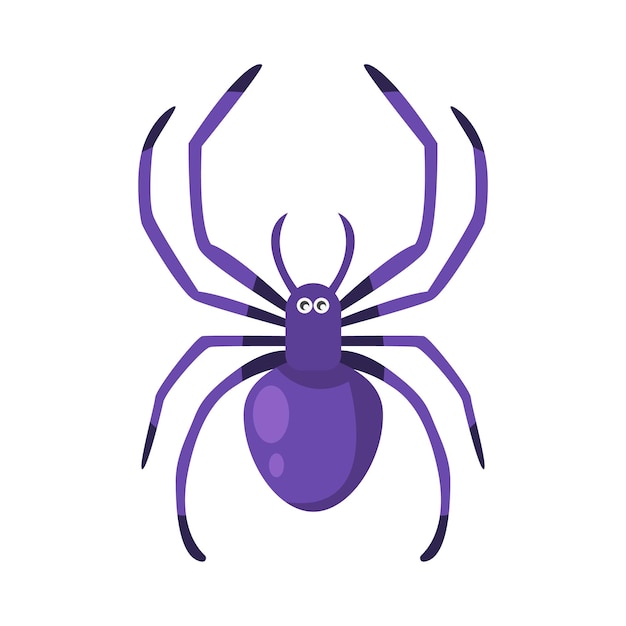 Illustration of spider