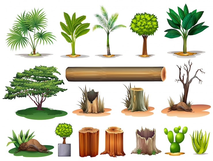 Vector illustration of the trees and stumps on a white background