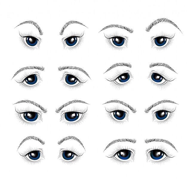 Illustration with woman's eyes, eyelashes and eyebrows. 