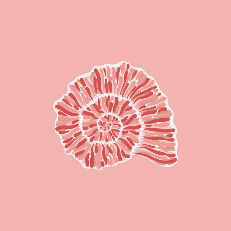 Vector ilustrasi cangkang bergaya pada komposisi bertema bahari dengan latar belakang merah muda
