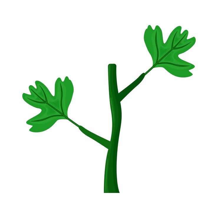 Vector ilustrasi daun