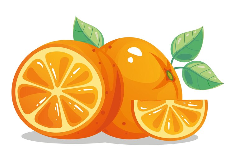 Vector ilustrasi elemen desain grafis datar komposisi buah jeruk utuh dan setengah iris