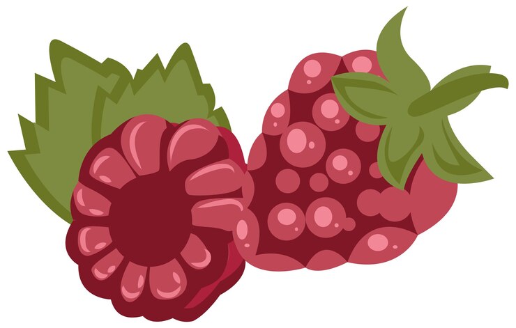Vector ilustrasi raspberi merah segar