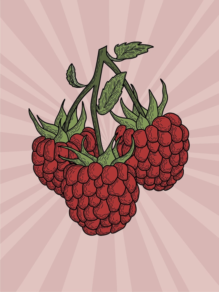 Vector ilustrasi raspberry di atas latar belakang merah muda