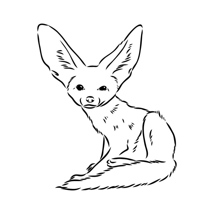 Vector ilustrasi vektor seekor rubah fennec muda berjalan rubah fenek sketsa vektor