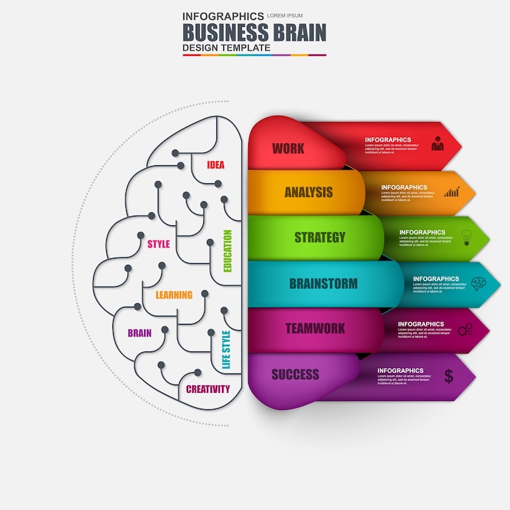 Vector infographic brain vector design template. can be used for workflow layout, data visualizat