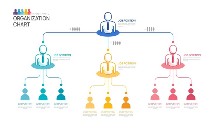 Vector infographic template for organization chart with business people icons vector infographic for business