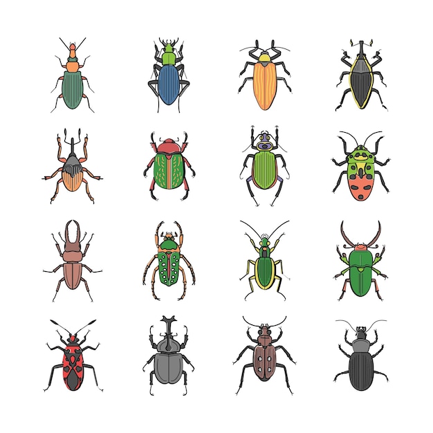 Insect flat vector icons bug and garden concept Vector set of cute cartoon insects Different beetle
