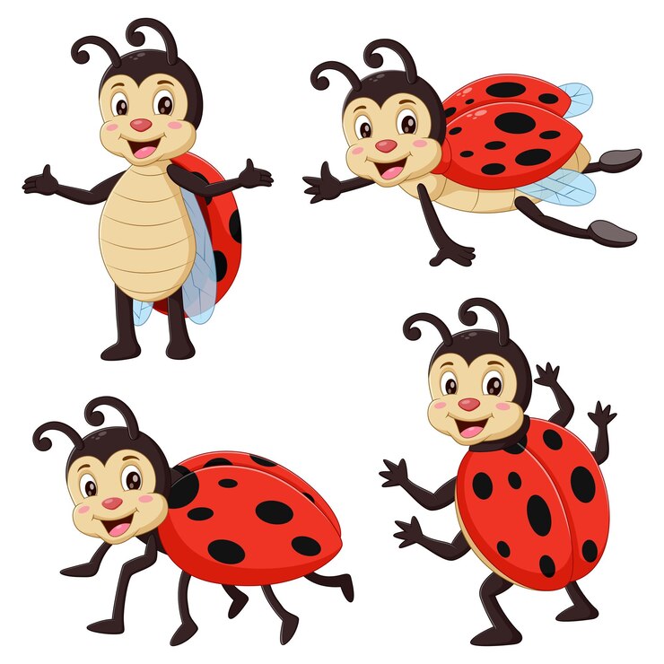 Vector insect ladybugs set cute small red bugs vector illustration