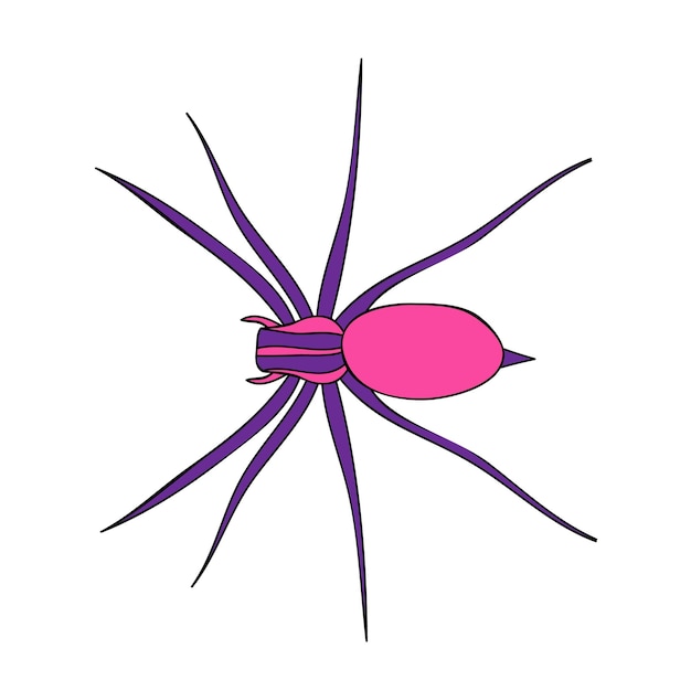 Insect spider bright
