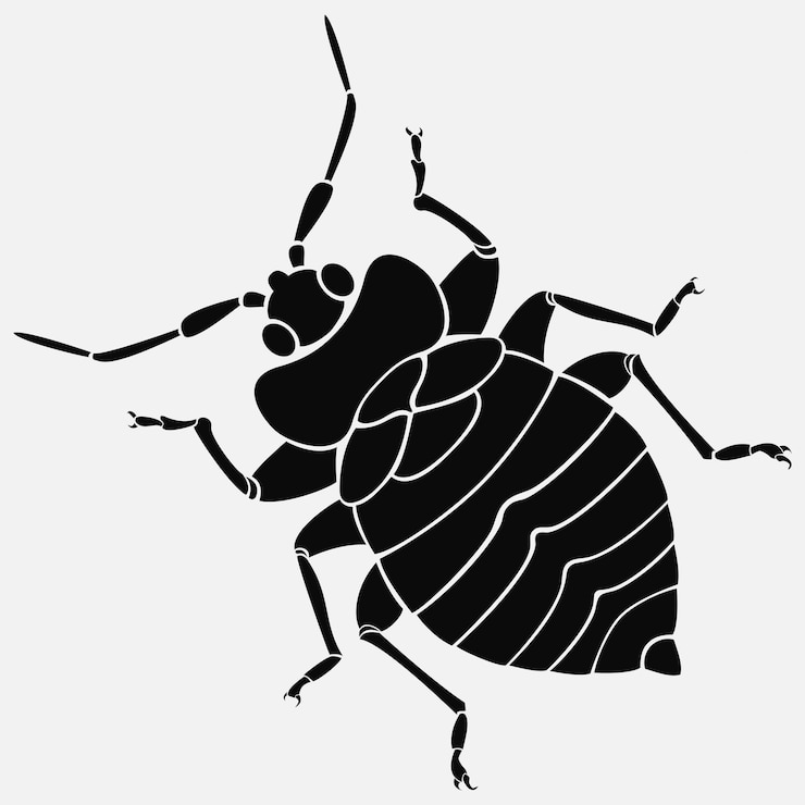 Vector insect vector icon9