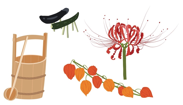 Japanese wooden hand bucketLycoris radiata and Physalis