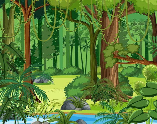 Jungle scene with liana and many trees